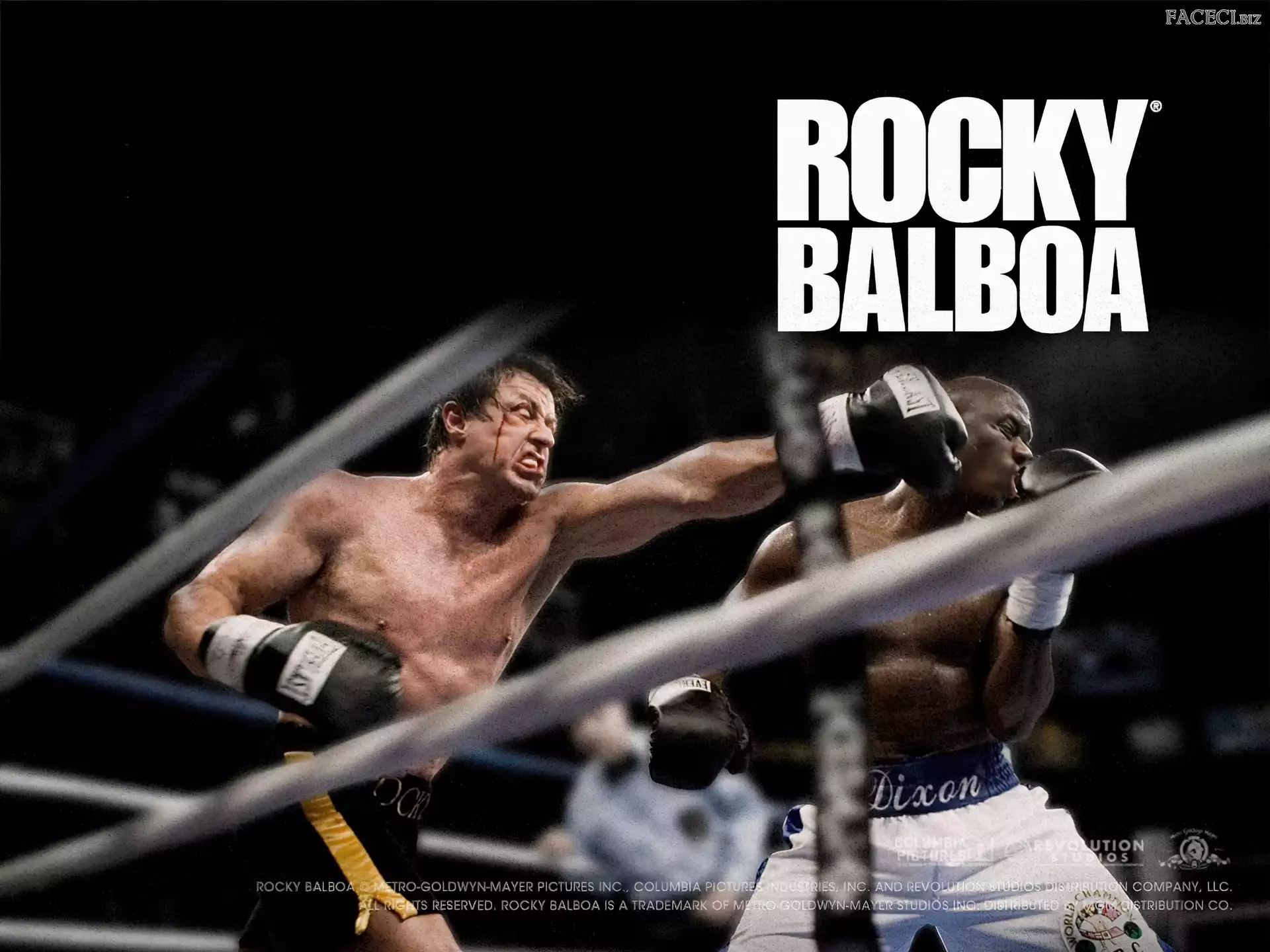 ring, boks, Sylvester Stallone, Rocky Balboa