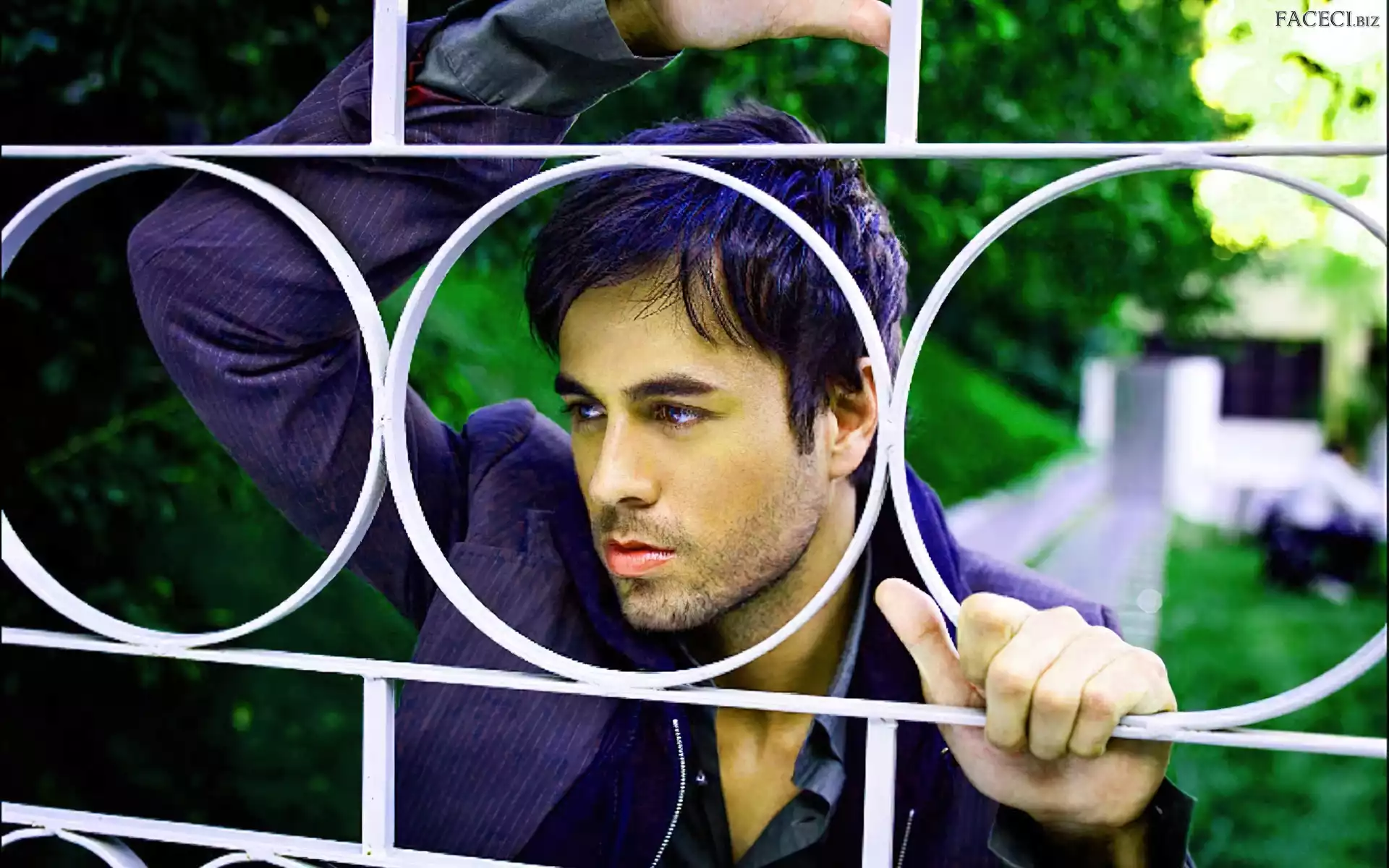 Iglesias, Piosenkarz, Enrique, Hiszpański