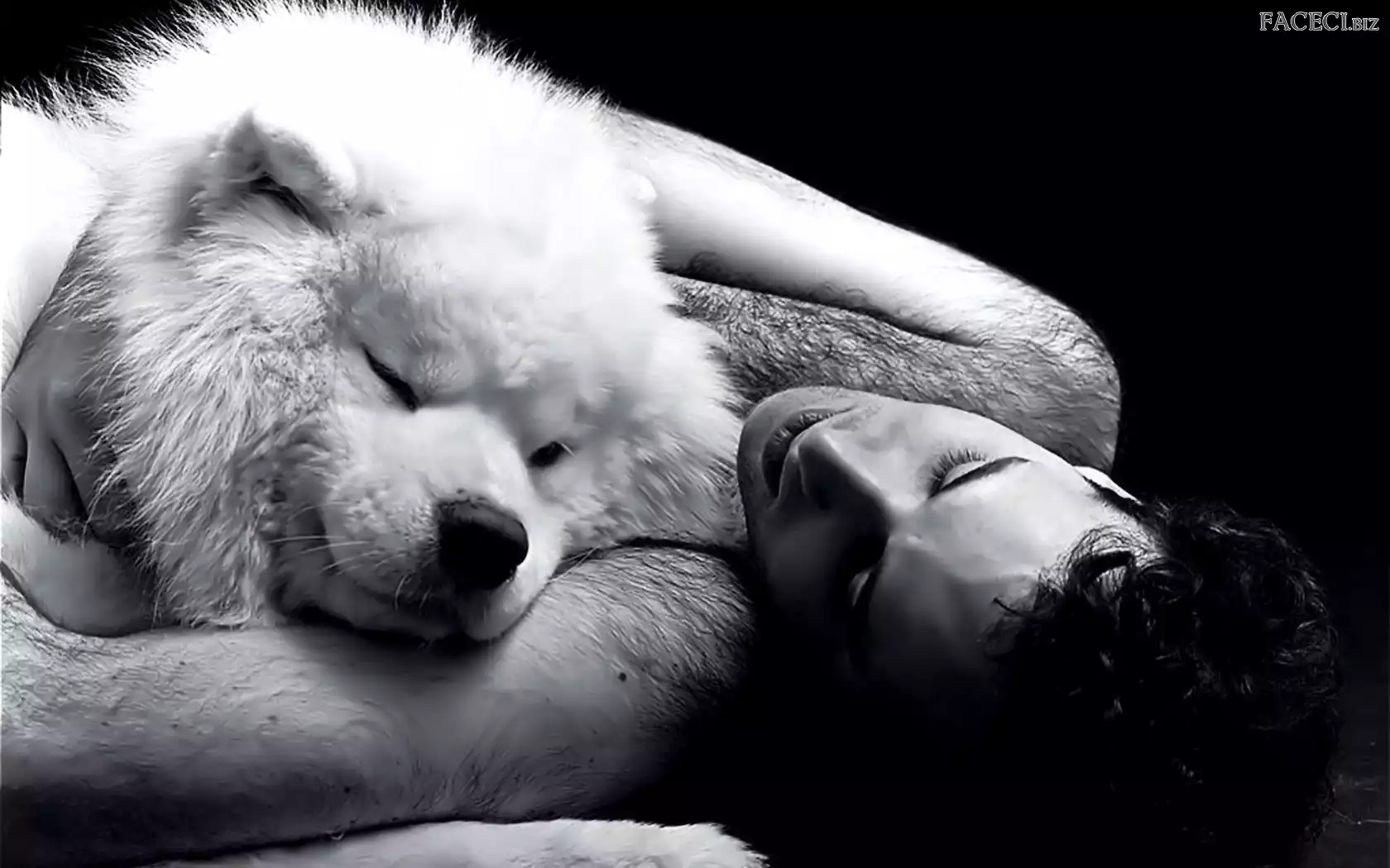 Pies, Śpiący, Mężczyzna