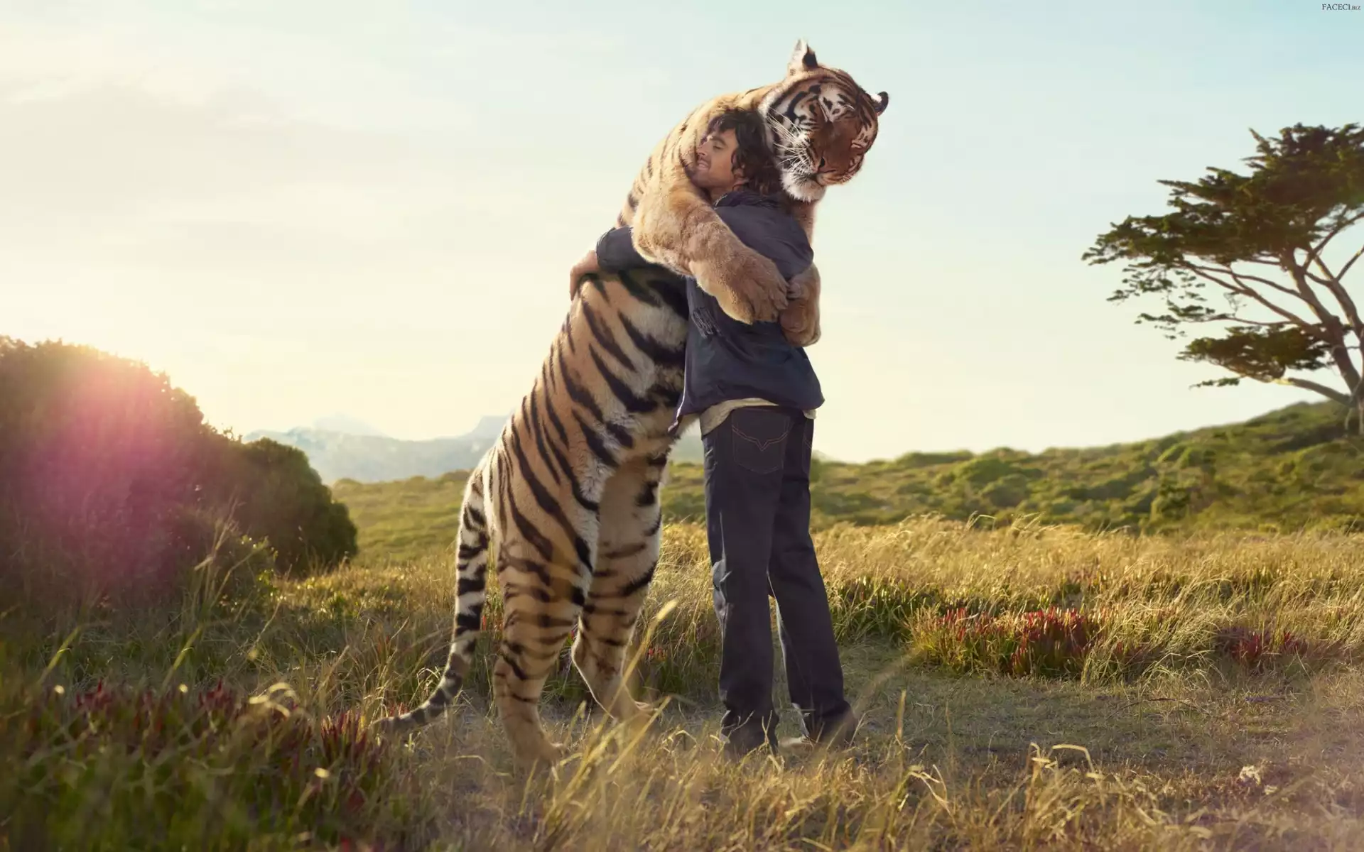 Przywitanie, Tygrys, Mężczyzna